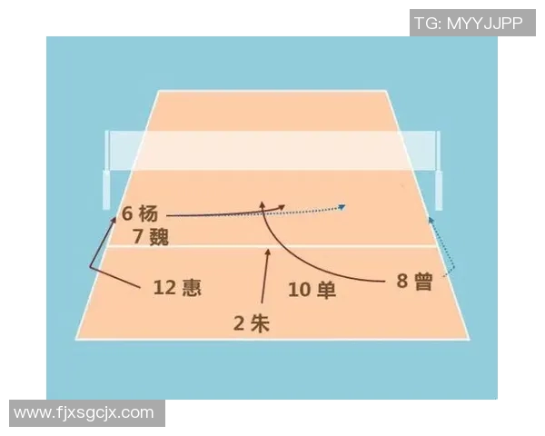 武汉排球队在全国锦标赛中的耐力表现与战术分析