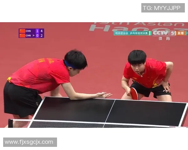 深入分析杭州乒乓球队的盯防战术与技术特点 深入分析杭州乒乓球队的盯防战术与技术特点