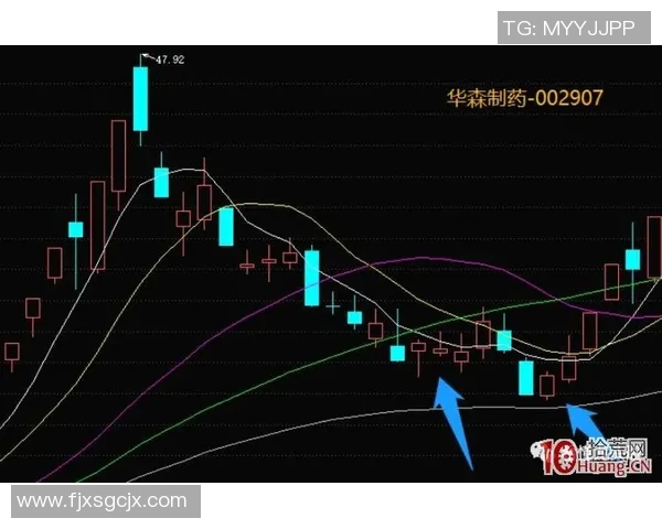 重庆网球队运营分析:成功经验与面临挑战的深度探讨 重庆网球队运营分析:成功经验与面临挑战的深度探讨
