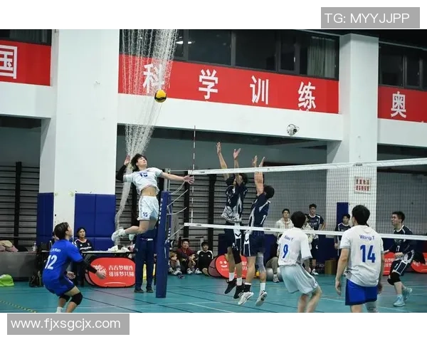 最新排球状态TOP10：广州排球队领跑