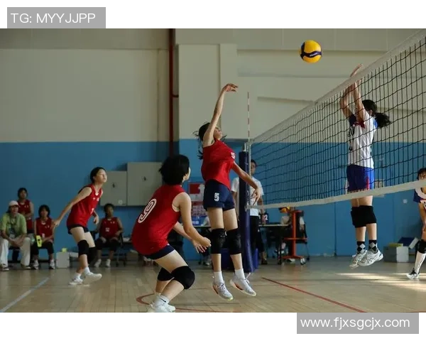 排球纪实：记录深圳排球队的突破历程