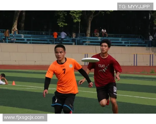 独家分析：武汉飞盘队的意识对比