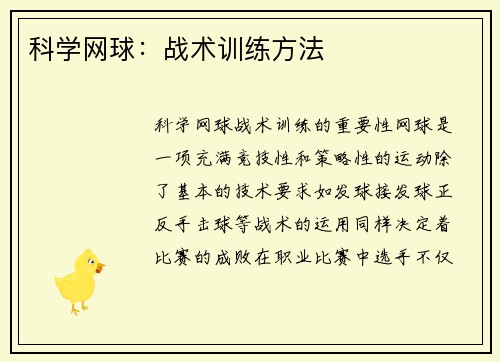 科学网球：战术训练方法