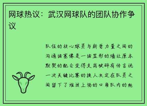 网球热议：武汉网球队的团队协作争议